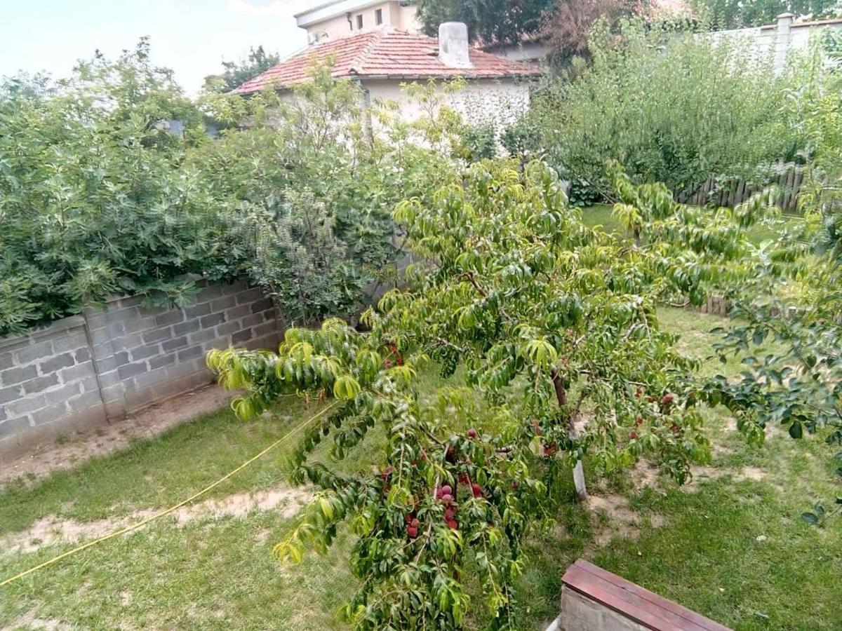 Alfa Guest Rooms With Parking Varna Luaran gambar